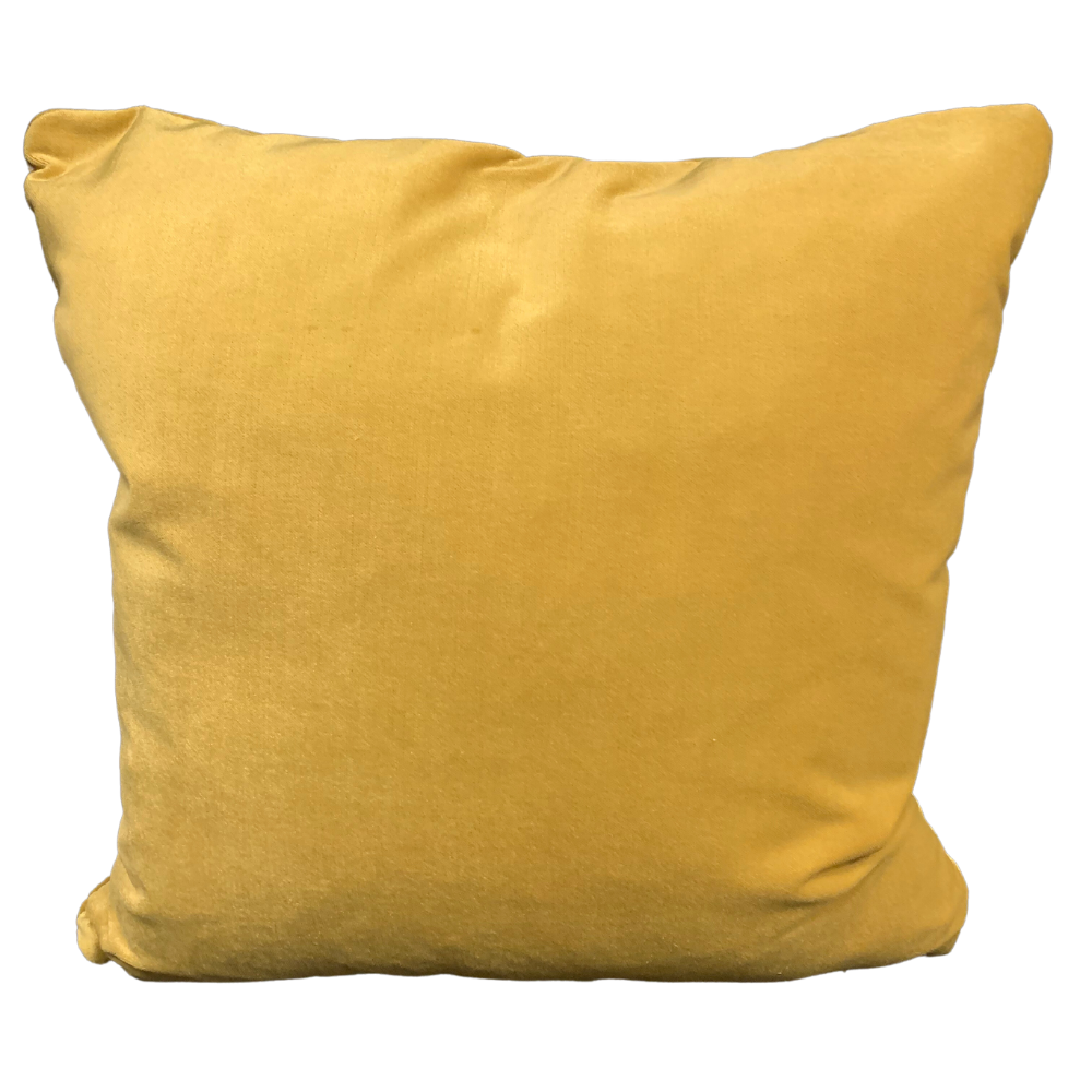 Chartruese Velvet Pillow