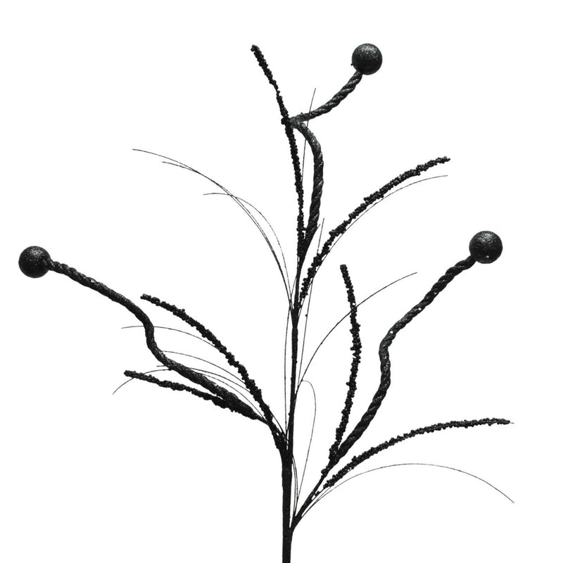 Black and white illustration of a plant with berries on a white background