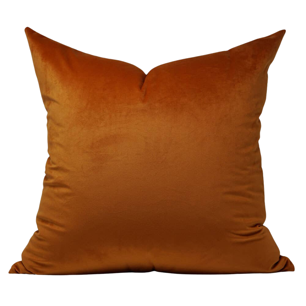 Terracotta Velvet Pillow