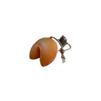 Brown fortune cookie on a white background