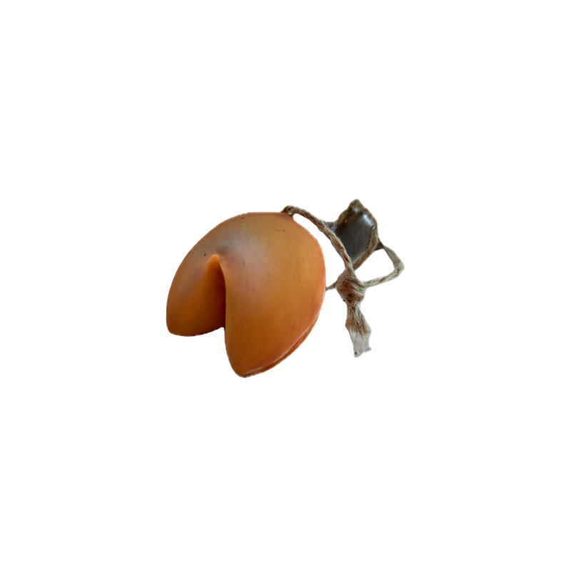 Brown fortune cookie on a white background