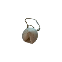 White shell with a small bell on a white background