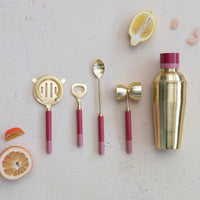 Stainless Steel Cocktail Shaker w/ Resin Top, Brass Finish and Pink