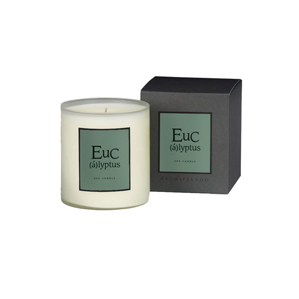 Archipelago Eucalyptus Home Candle-Candle-Dwell Chic