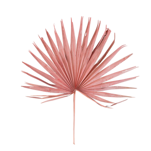 Pink Dried Palm Leaf Bunch
