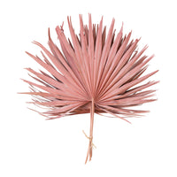 Pink Dried Palm Leaf Bunch