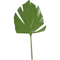 Aluminum Green Leaf Palm Decor-Accessories-Dwell Chic