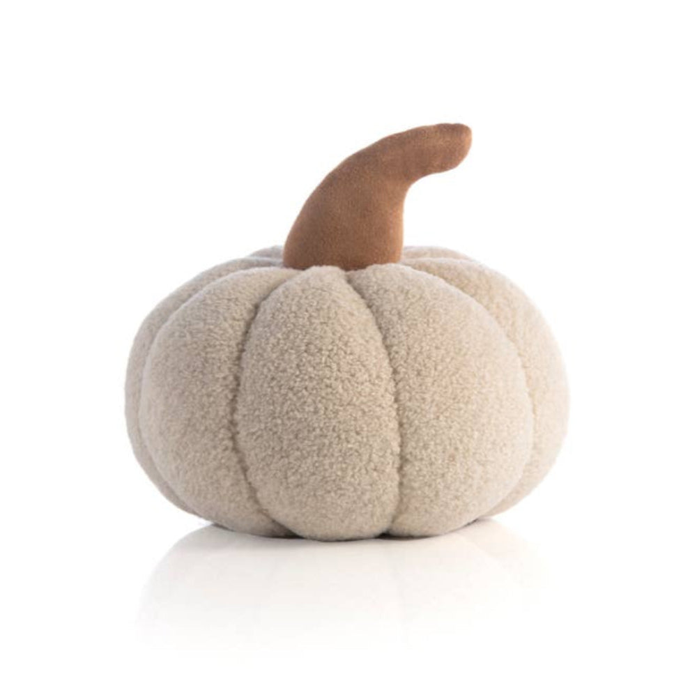 Fur pumpkin white background